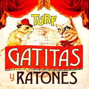 Gatitas y Ratones