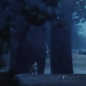 青い星の子 的头像