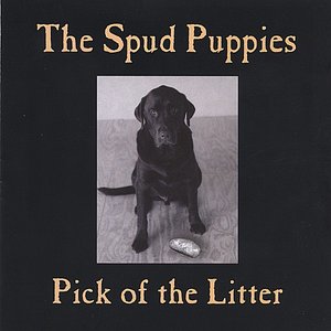 Pick of the Litter
