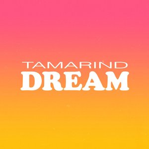 Tamarind Dream 的头像