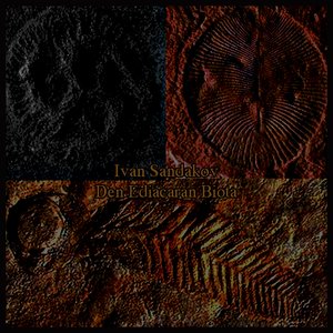 Den Ediacaran Biota