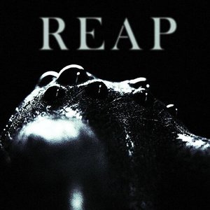 Reap