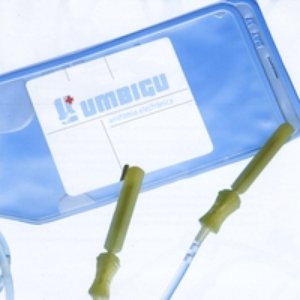 anatomia electrónica