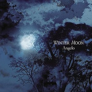 WINTER MOON