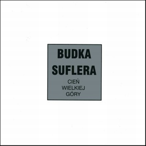 Cień wielkiej góry cover