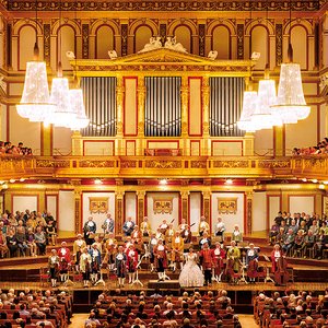 Avatar for Vienna State Opera Orchesta