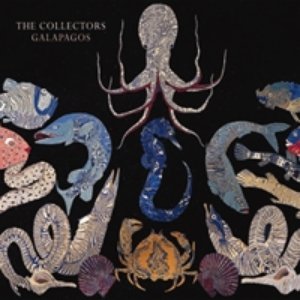 The Collectors - Galapagos