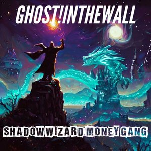 Shadow Wizard Money Gang
