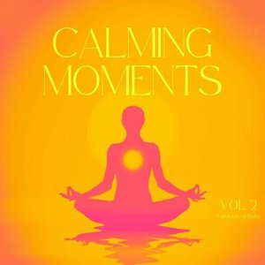 Calming Moments, Vol. 2