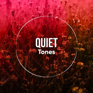 Quiet Tones 的头像