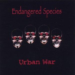 Urban War