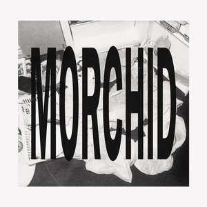 morchid