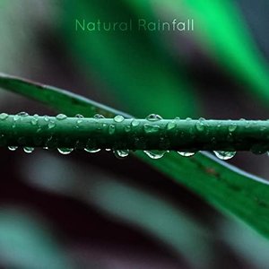 Natural Rainfall