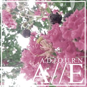 Adjourn