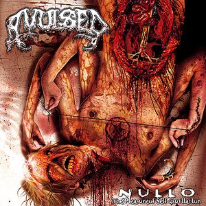 Nullo (The Pleasure Of Self-Mutilation)