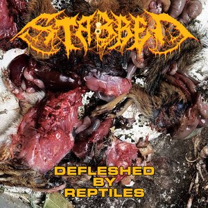 Defleshed By Reptiles