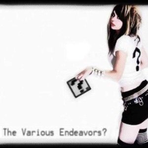 The Various Endeavors? 的头像