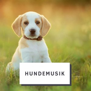 Avatar for Hunde Musik