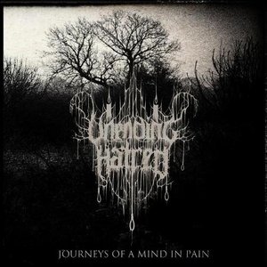 Journeys Of A Mind In Pain