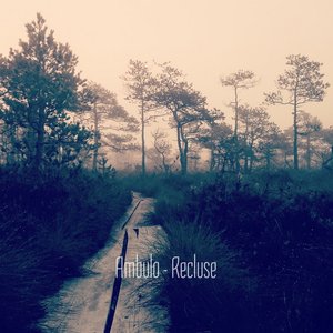 Recluse - Single