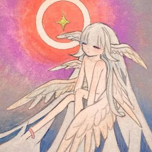 Avatar for shteelll
