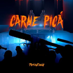 Carne Picá