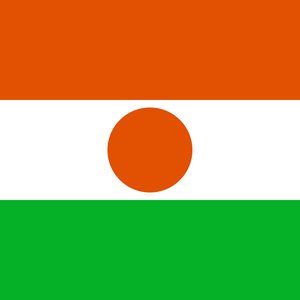 Niger 的头像