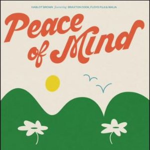 Peace of Mind (feat. Braxton Cook, Floyd Fuji & Malia) - Single