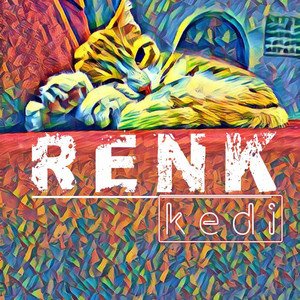 Kedi - Single