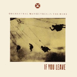 Image for 'If You Leave'