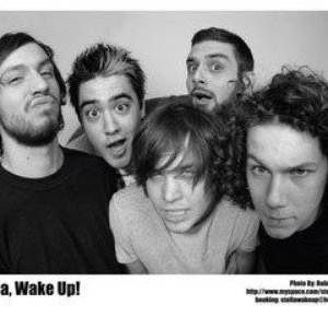Stella, Wake Up! 的头像