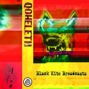 Black Kite Broadcasts