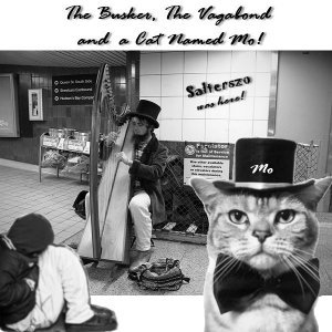 “The Busker, The Vagabond & a Cat named Mo!”的封面