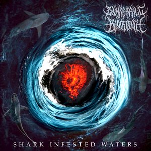 Shark Infested Waters