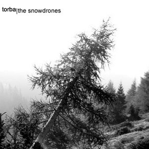 The Snowdrones