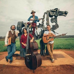 The Broken String Band 的头像