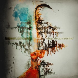stop.drop.rewind - Single