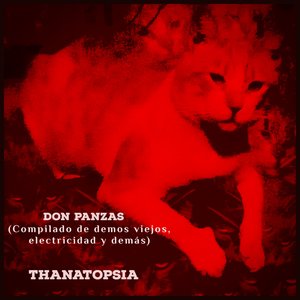 Don Panzas (Compilación de demos viejos, electricidad y demás)