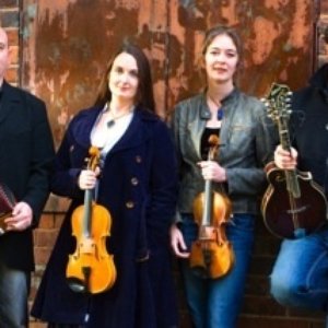 The Melrose Quartet 的头像