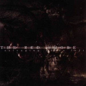 Salvaging What's Left - EP