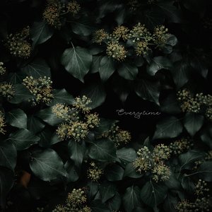 Everytime - Single