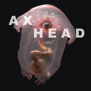 AXHEAD 的头像