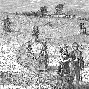 Star. Stripe. Feather.