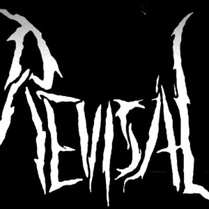 Revisal 的头像