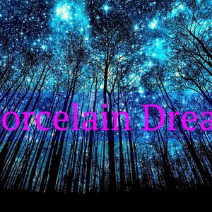 Porcelain Dream 的头像