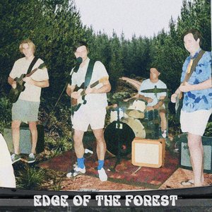 Edge of the Forest