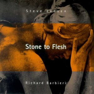 Stone to Flesh