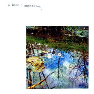 Amphibian