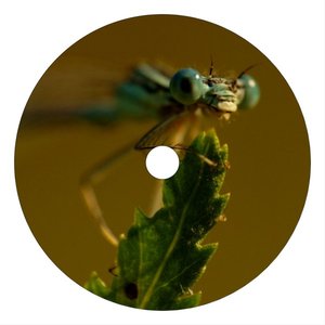 Dragonfly On Dope (Remixes)