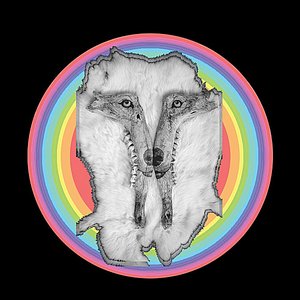 Zdjęcia dla 'Rainbow Wolves'